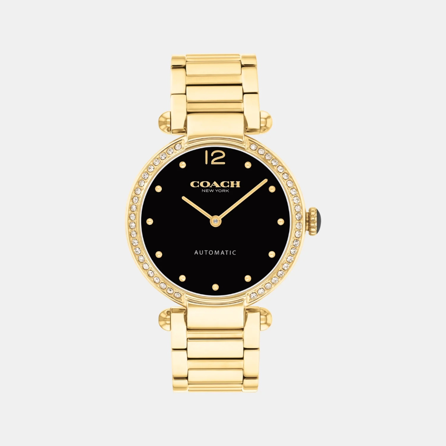 Cary Women Automatic Black Dial Analog Stainless Steel Watch 14504579