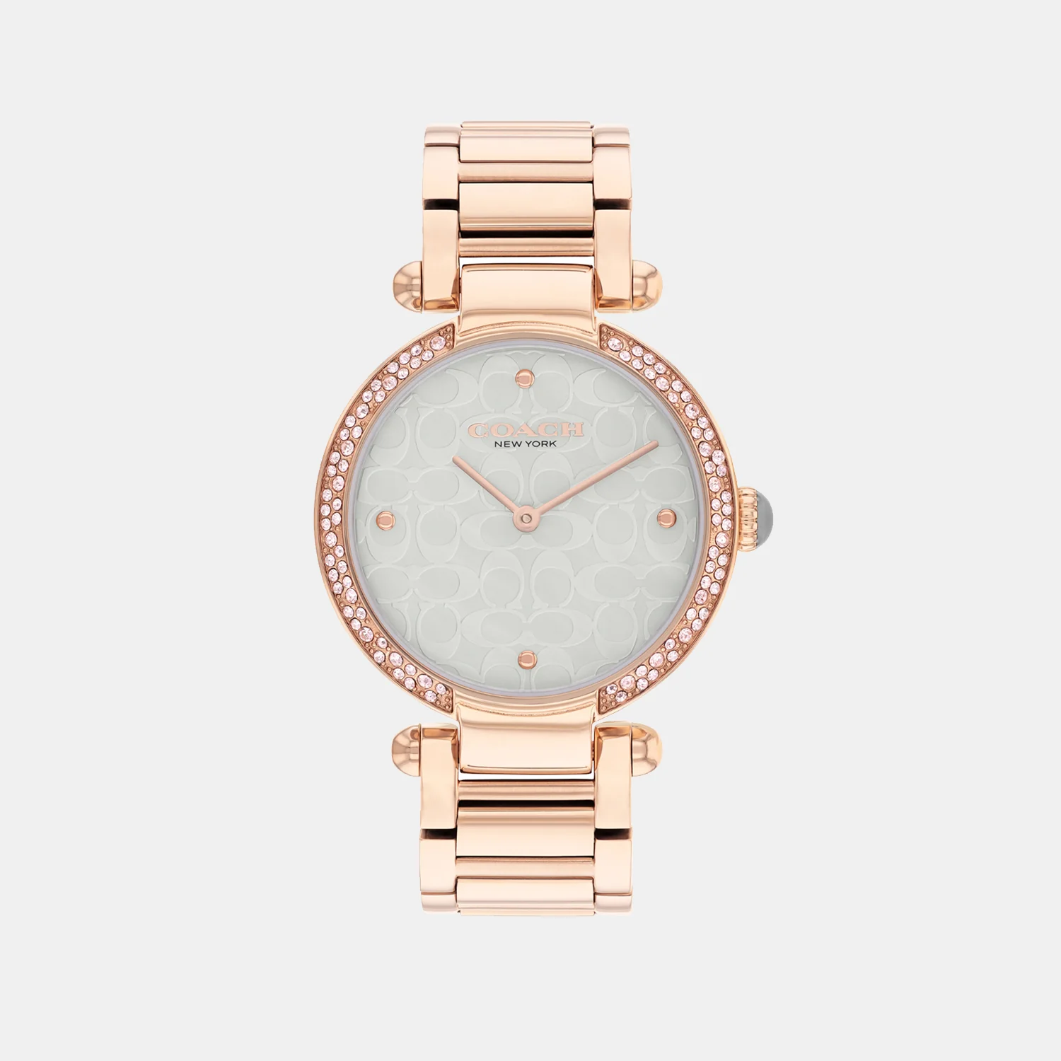 Cary Women Quartz Grey Dial Analog Stainless Steel Watch 14504184