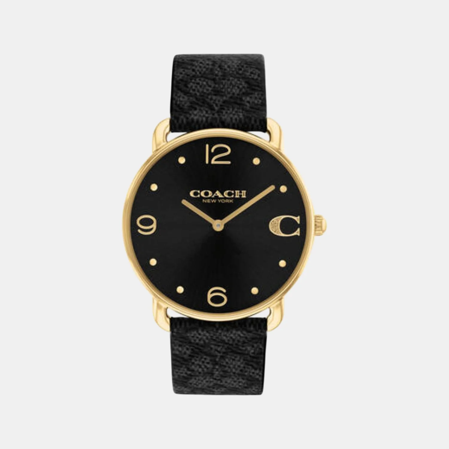 Elliot Women Quartz Black Dial Analog Leather Watch 14504289