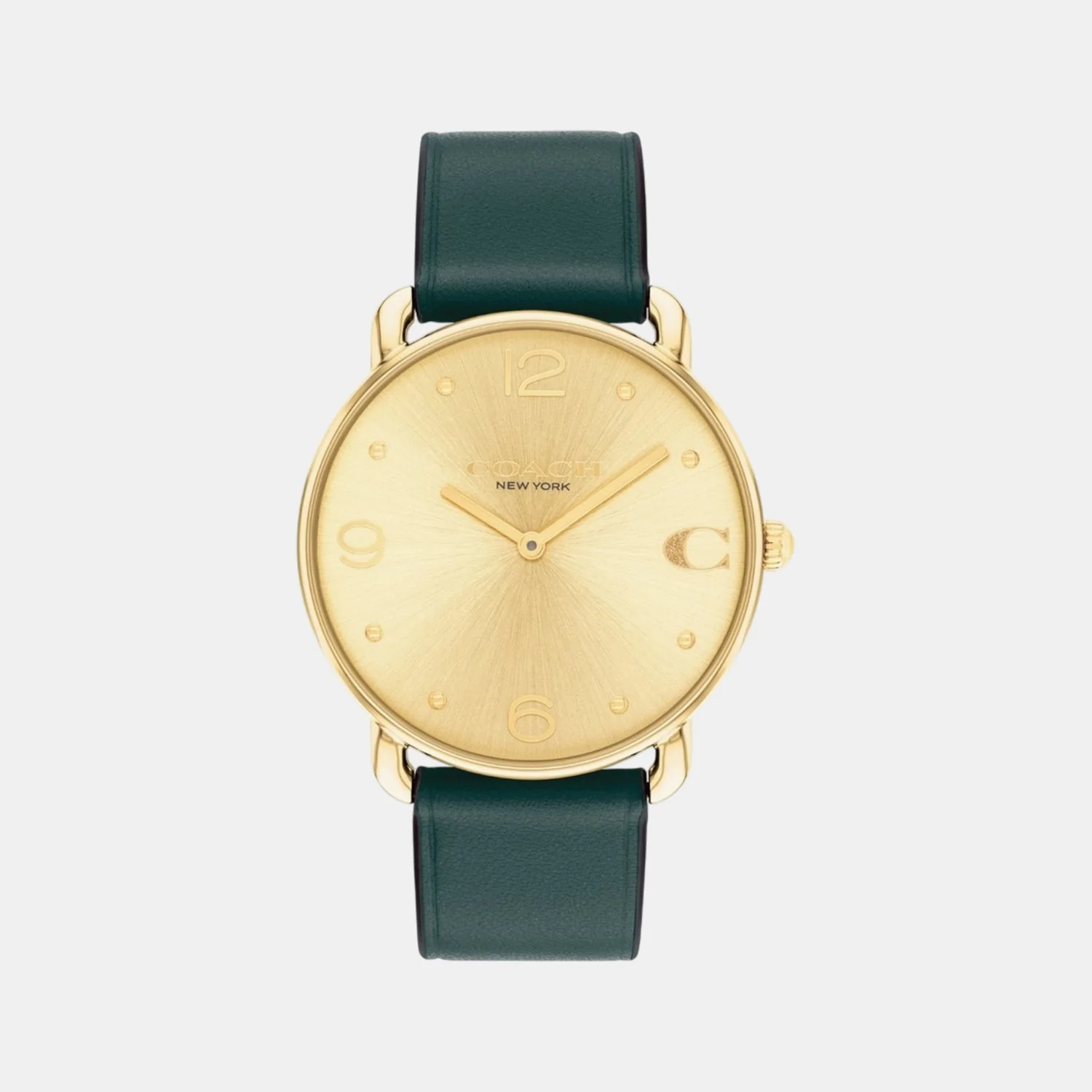 Elliot Women Quartz Gold Dial Analog Leather Watch 14504202 - Image 2