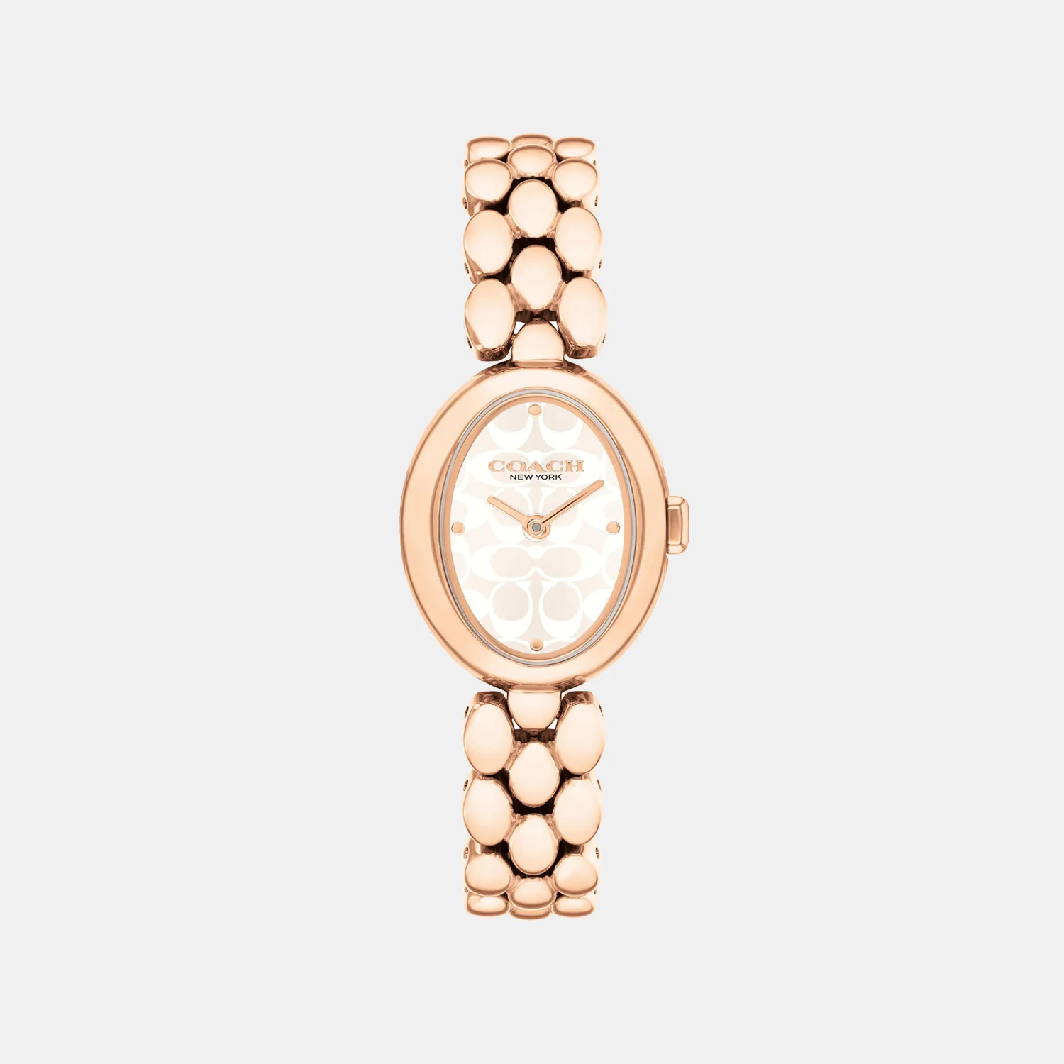 Sammy Women Quartz White Dial Analog Stainless Steel Watch 14504437