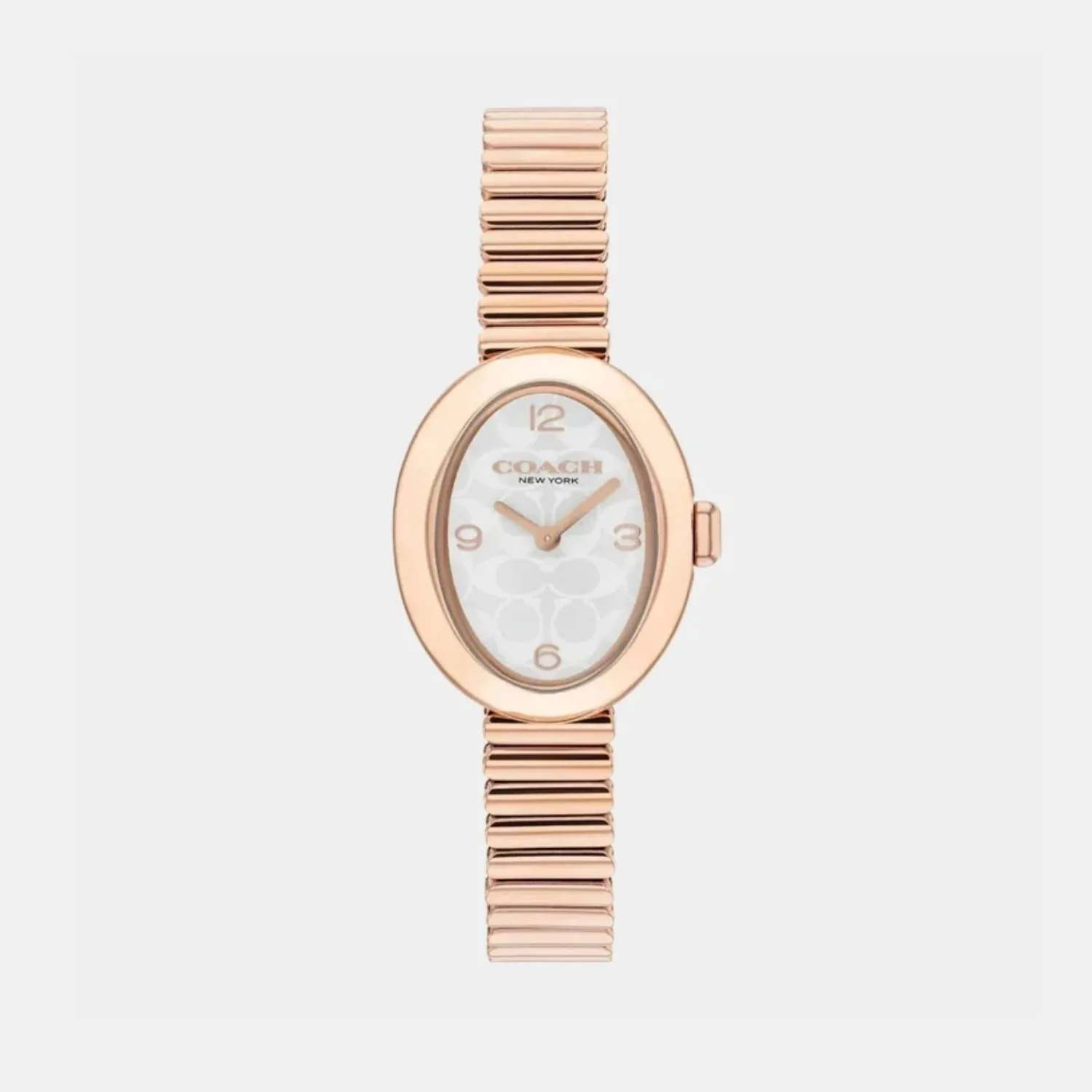 Sammy Women Quartz Silver White Dial Analog Stainless Steel Watch 14504572